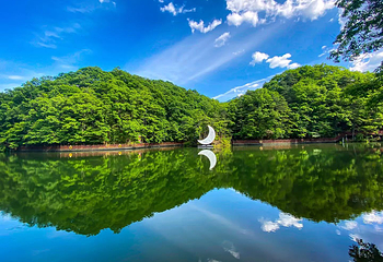 洛阳白云山风景区第 7 张图片