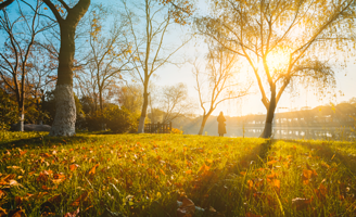 苏州中国花卉植物园