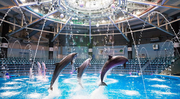 品川麦克赛尔水族馆