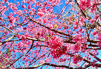 清境农场第 21 张图片