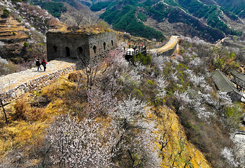 青山关第 9 张图片