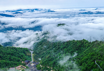 大华山蝶栖谷景区第 7 张图片