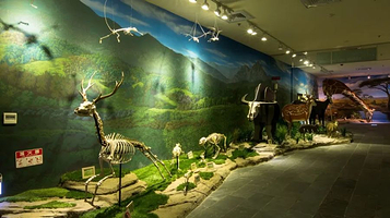 树谷生活科学馆