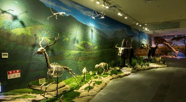 树谷生活科学馆