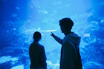 香港海洋公园第 203 张图片