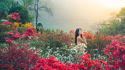 婺源篁岭景区第 110 张图片