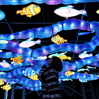 海合安天津极地海洋公园