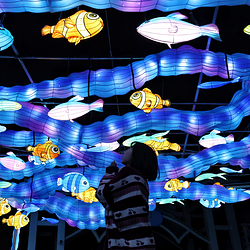 海合安天津极地海洋公园