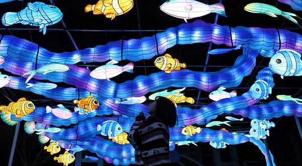 海合安天津极地海洋公园