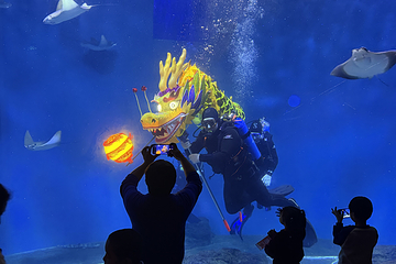 上海海洋水族馆第 38 张图片