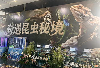 三只熊冰雪王国第 32 张图片