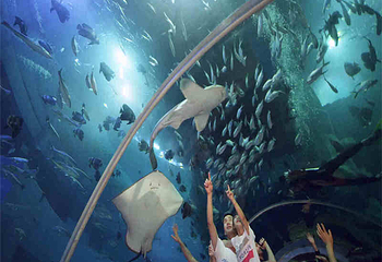 威海神游海洋世界第 59 张图片