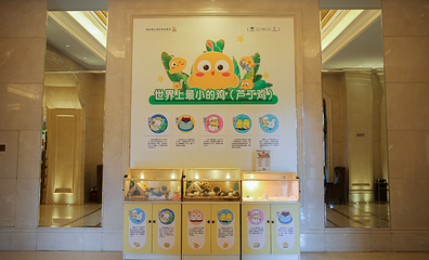 国信南山温泉第 37 张图片
