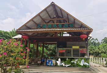 天湖鹭鸟生态风景区第 15 张图片