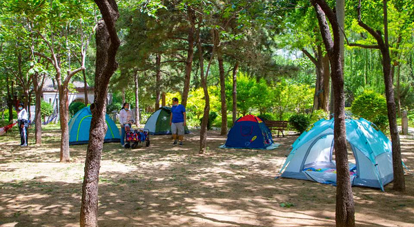 南宫苑营地乐园