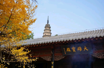 灵岩寺第 37 张图片