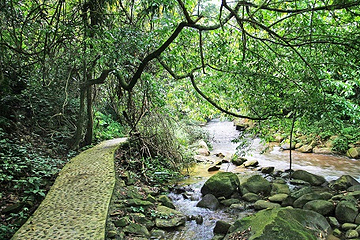 百色大王岭漂流景区第 18 张图片