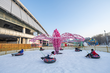 沈阳奥体冰雪嘉年华第 21 张图片