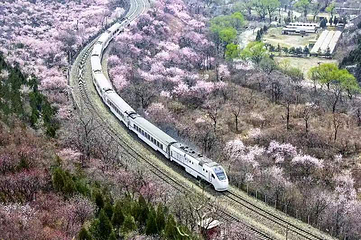 居庸关长城第 17 张图片