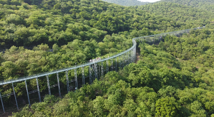 琅琊山森林漂流第 2 张图片