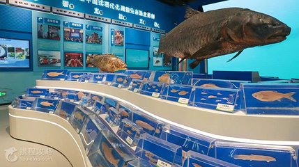 千岛湖鱼博馆第 5 张图片