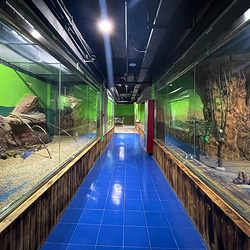 临汾海昌海洋探索馆