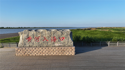 黄河入海口第 25 张图片