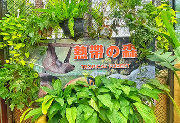 兰阳动植物王国第 4 张图片