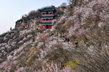 神农山风景区第 18 张图片