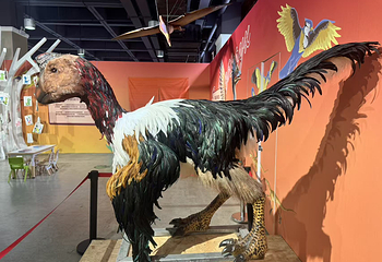 恐龙来了(禄丰龙全国巡展·重庆站)第 6 张图片