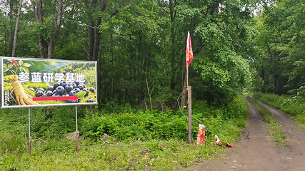 长白山参蓝研学基地采摘园第 1 张图片