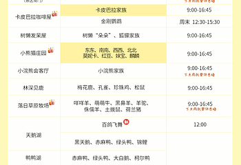 茅山森林世界第 5 张图片