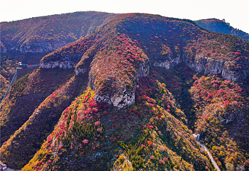青铜山大峡谷第 159 张图片