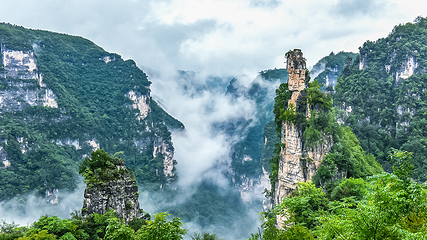九路寨生态旅游区第 87 张图片