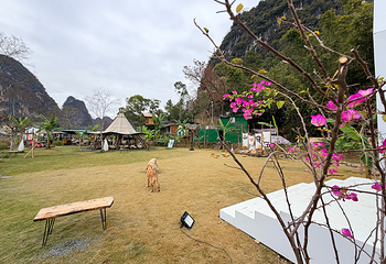 Sakalaka·咖啡营地第 8 张图片