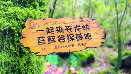 苍龙峡风景区第 5 张图片