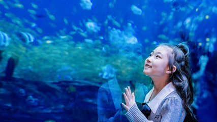 郑州海昌海洋公园第 58 张图片
