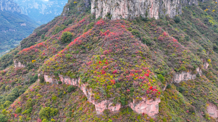 云台山风景名胜区第 144 张图片