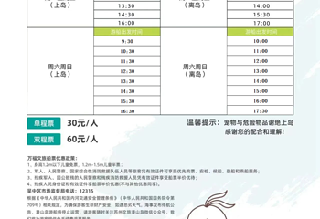 漫山岛第 3 张图片