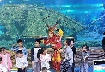 西安海洋馆第 1 张图片