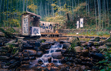 天目湖南山竹海第 77 张图片