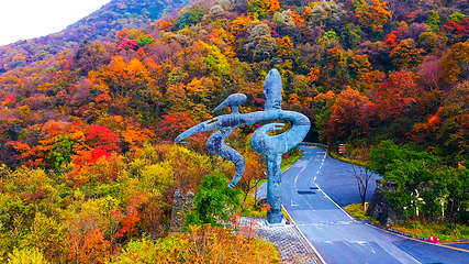 神农顶风景区第 1 张图片