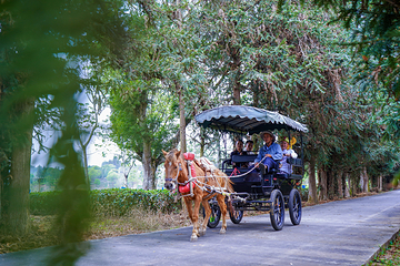 西双版纳茶马古道景区第 19 张图片