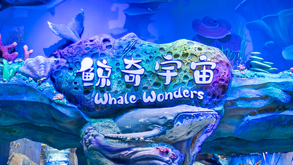 长隆飞船乐园第 68 张图片