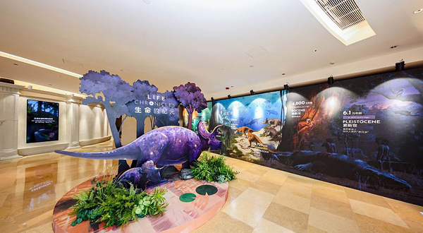 生命的纪元 Life Chronicles