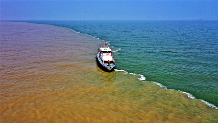 黄河入海口第 40 张图片