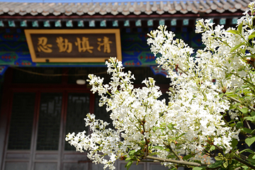 武定府衙景区第 133 张图片