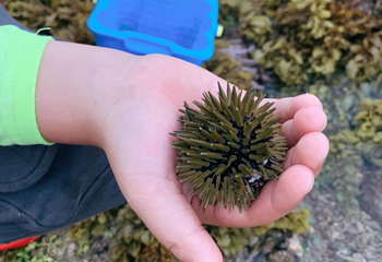 三亚海棠湾福来赶海俱乐部第 8 张图片
