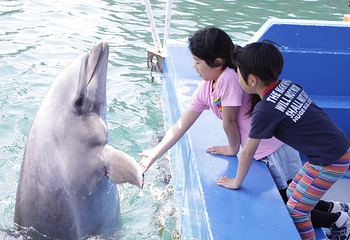 下田海中水族馆第 6 张图片