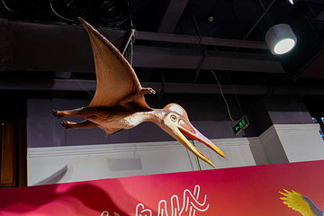 恐龙来了(禄丰龙全国巡展·重庆站)第 12 张图片